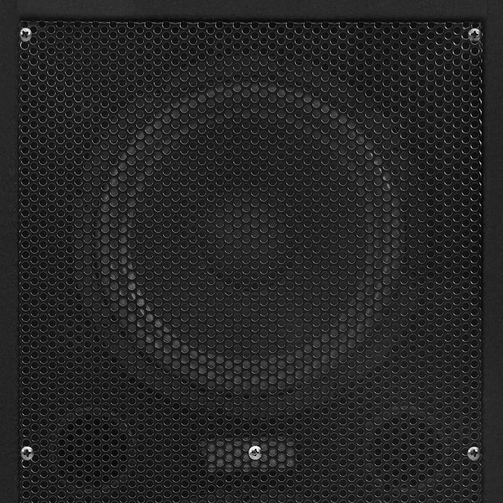 vidaXL HiFi Bühnen Lautsprecher 2 STK., Lautsprecher Boxen mit Subwoofer, Musikbox Bass Box für Konzert Party Disco, Professionell Passiv, 1000 W