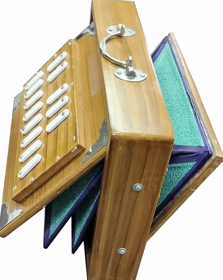 Shruti Box Musikinstrument, Surpet gestimmt auf 432 Hz, Teakholz Shruti Box mit Tragetasche, 30,5 cm