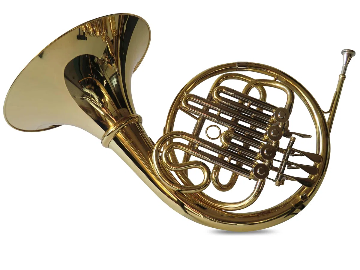 Waldhorn/French Horn in Bb, Gold/Silber, inkl. Luxus-Hartschalenkoffer und Waldhörner Zubehör