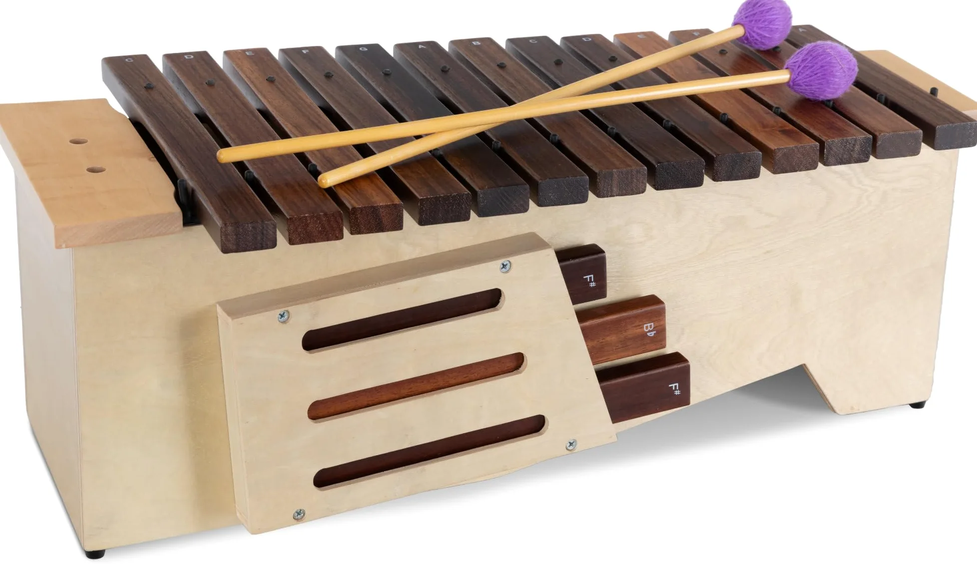 Classic Cantabile AX-1600NG Altxylophon (Alt Xylophon, 16 Töne, C-Dur Tonleiter, Tonumfang: c' bis a'', Resonanzkasten aus Lindenholz, Schlägel) Lindenholz