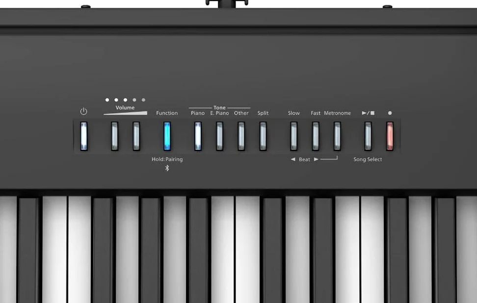 Roland FP-30X Digital Piano, Das extrem beliebte tragbare Piano – Überarbeitet (schwarz) & RockJam Xfinity Doublebraced Pre Assembled Keyboard Stand with Locking Straps