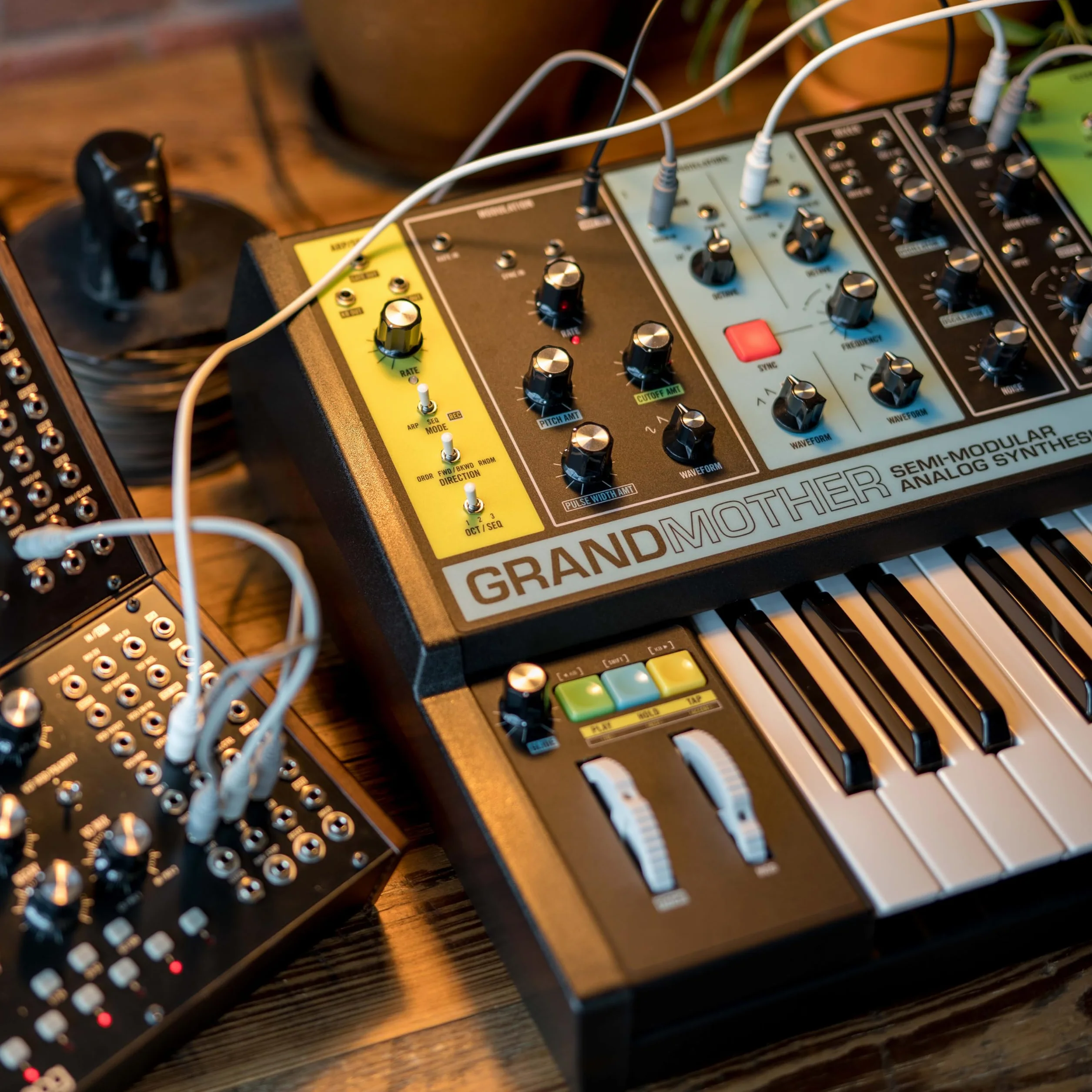 MOOG Grandmother Semimodularer Analog-Keyboard-Synthesizer mit 32 Tasten, Eingebautem Arpeggiator, Sequencer Und Federhalltank