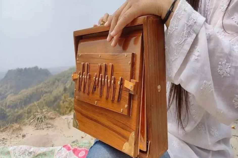 Shruti-Box aus reinem Teakholz, Musikinstrument mit Tasche, Holztasten, Shruti-Box, 432 Hz, gestimmt, 30,5 cm