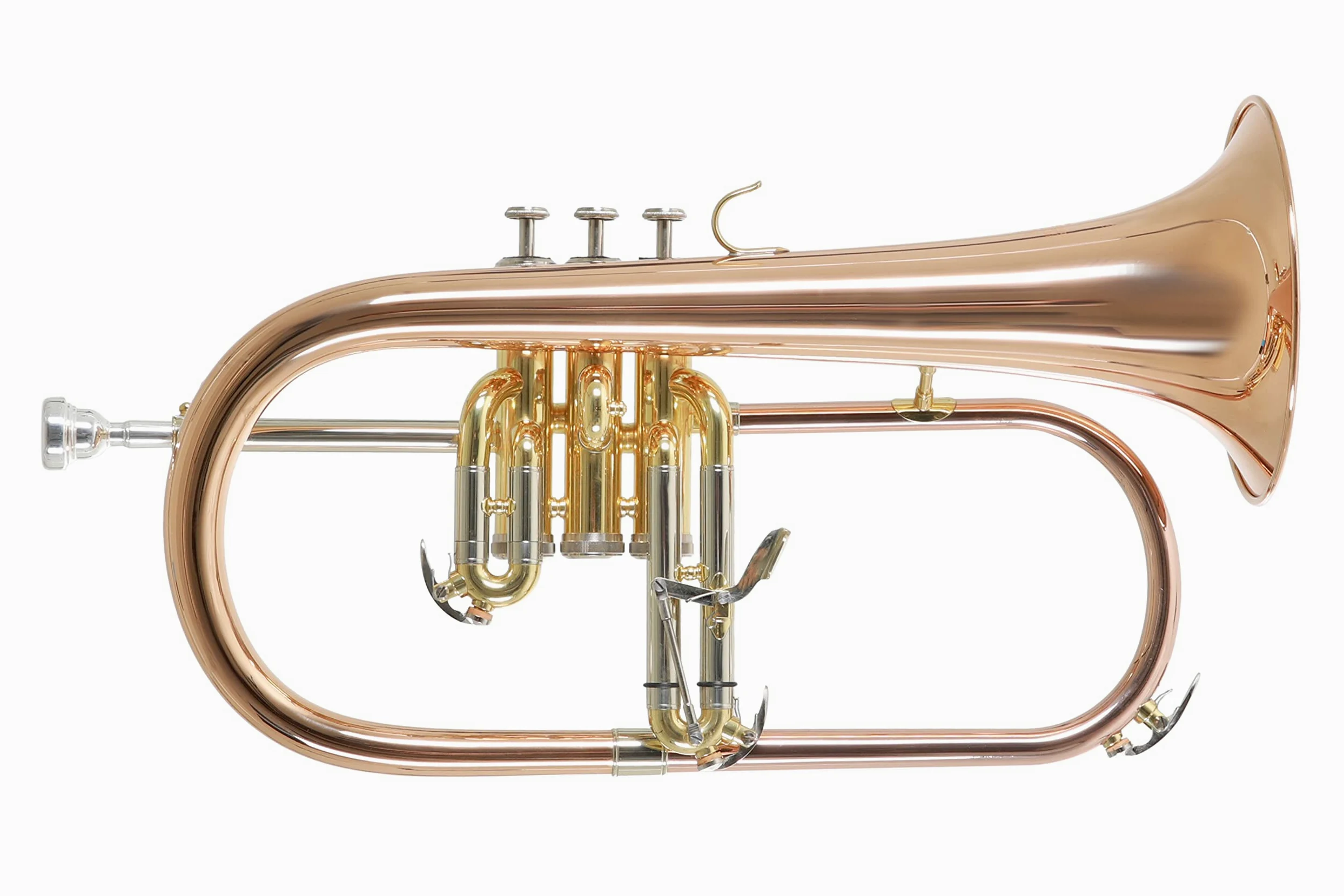 Roy Benson Bb-Flügelhorn FH-302G (mit 11mm MS Bohrung, Goldmessing Schallstück, Edelstahl Ventilen, inkl. leichtem Rechtecketui, mit Rucksackfunktion, Größe: 6"), lackiert