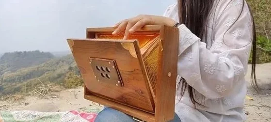 Shruti-Box aus reinem Teakholz, Musikinstrument mit Tasche, Holztasten, Shruti-Box, 432 Hz, gestimmt, 30,5 cm