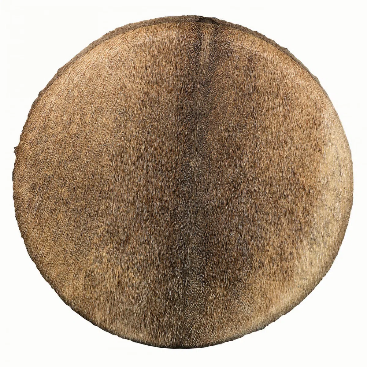 Schamanentrommel Ziegenfell Ø 50 cm mit Griff im Baum Stil Rahmentrommel im mysevendo Set Rund Shaman Drum Goat Skin inkl. Stick