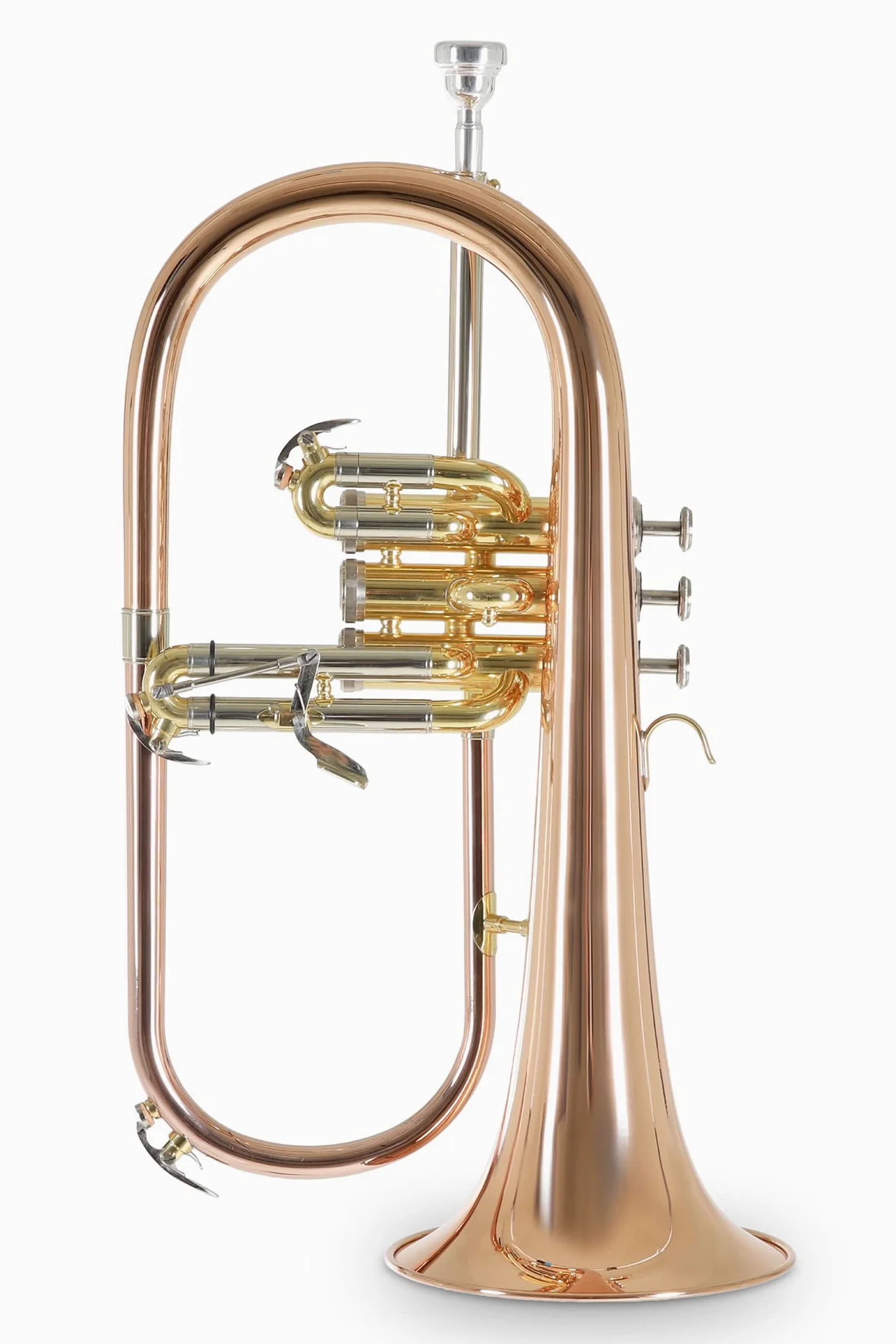 Roy Benson Bb-Flügelhorn FH-302G (mit 11mm MS Bohrung, Goldmessing Schallstück, Edelstahl Ventilen, inkl. leichtem Rechtecketui, mit Rucksackfunktion, Größe: 6"), lackiert