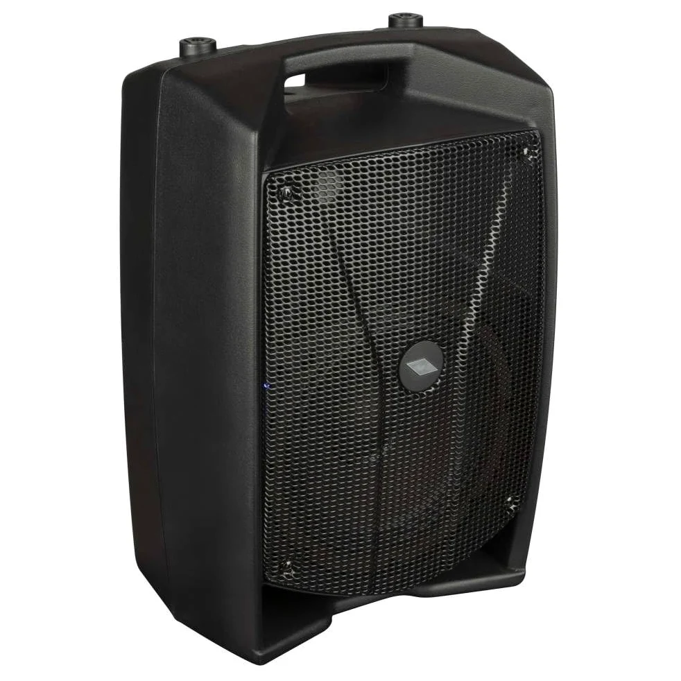 PROEL V12 PRO Aktiver 2-Wege-Audio-Lautsprecher 600 W Peak mit DSP-Querschnitt für hochwertigen Sound, Schwarz