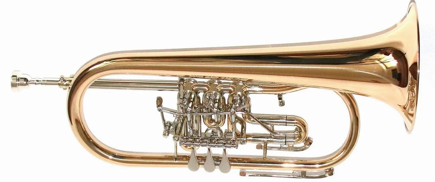 TFH-580G Flügelhorn in B in Goldmessing - 3 Drehventile mit Trigger - komplett mit Koffer, Mundstück & Zubehör