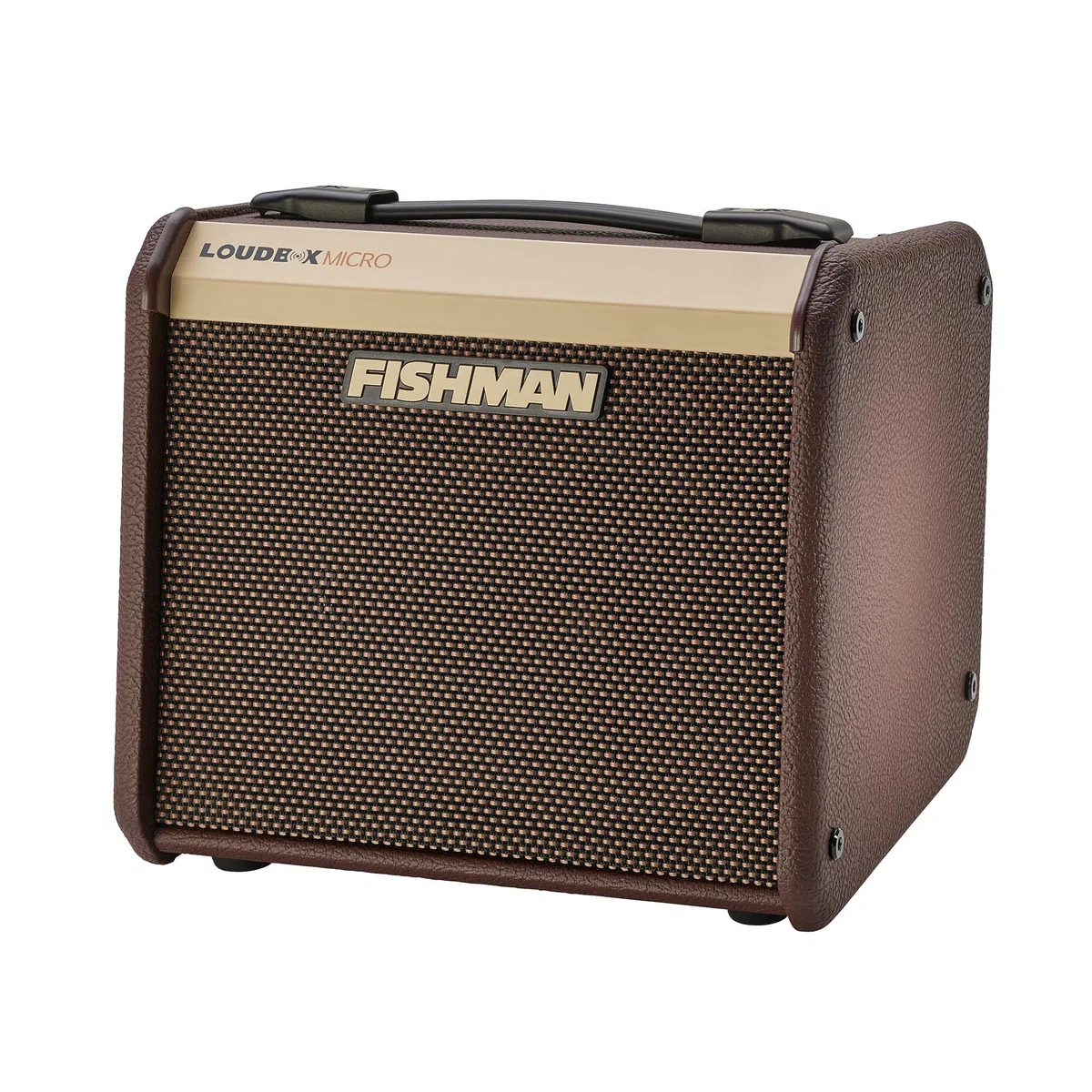 Fishman Loudbox Micro 40 Watt 1 x 5,25 Zoll Akustik-Kombi-Verstärker