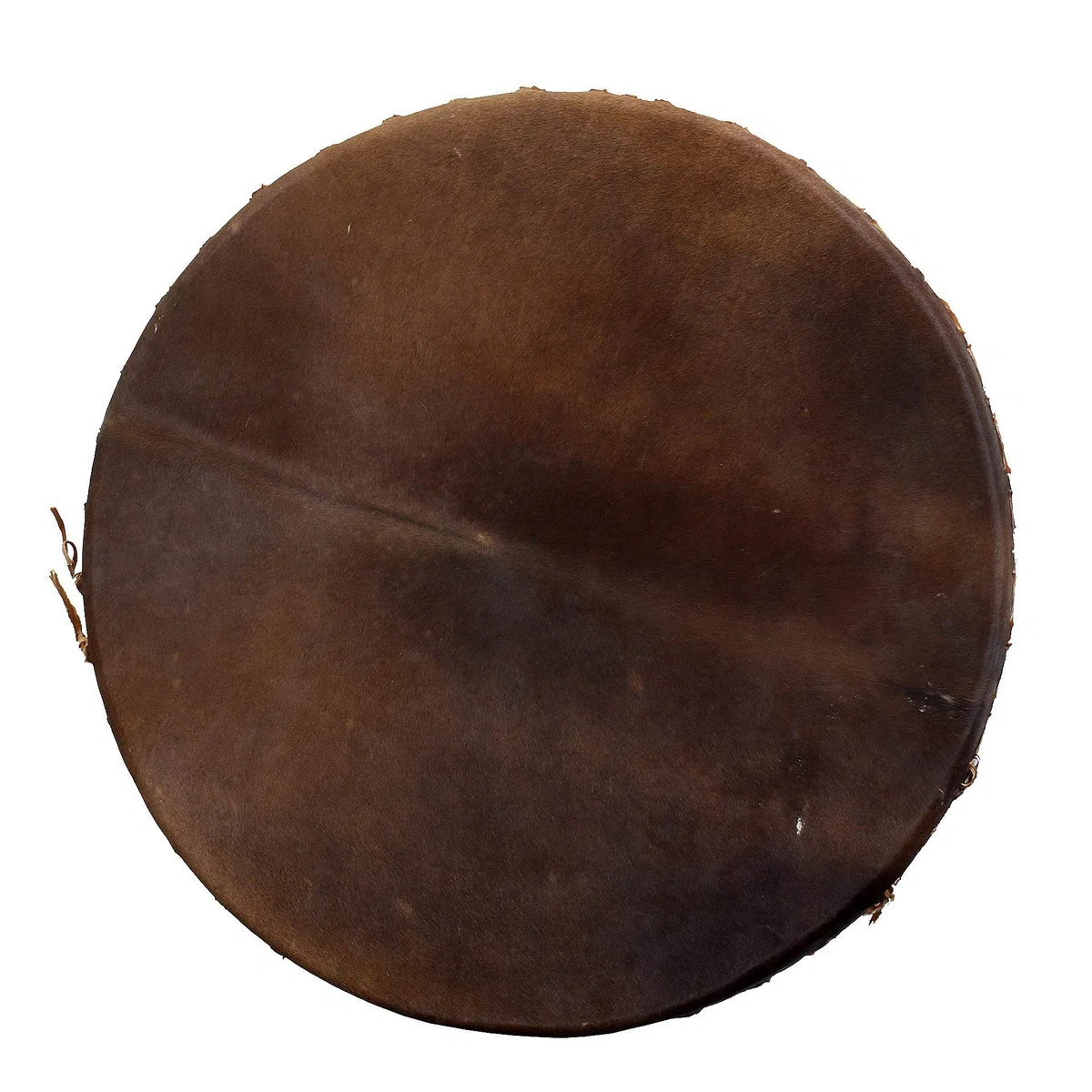 Motherdrum 120cm inklusive Ständer - im MYSEVENDO Set - Riesentrommel Thunderdrum Bigdrum Gemeinschaftstrommel Percussion Weltmusik Instrument Healing