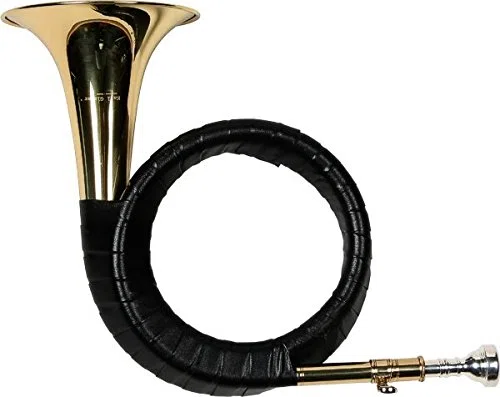 FÜRST PLESS HORN, Bb, STIMMZUGROHR, TASCHE, JAGDHORN, WALDHORN,