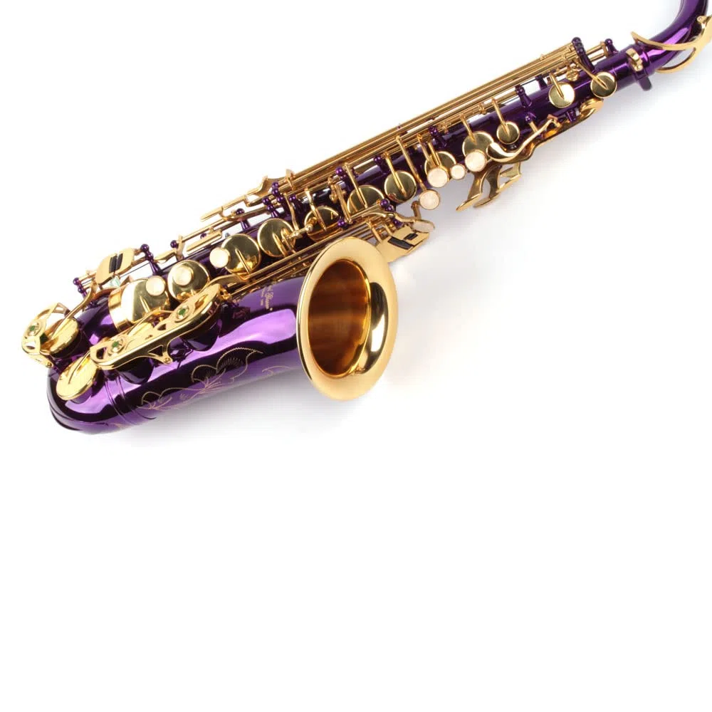Alt Saxophon, violett/gold, mit Koffer